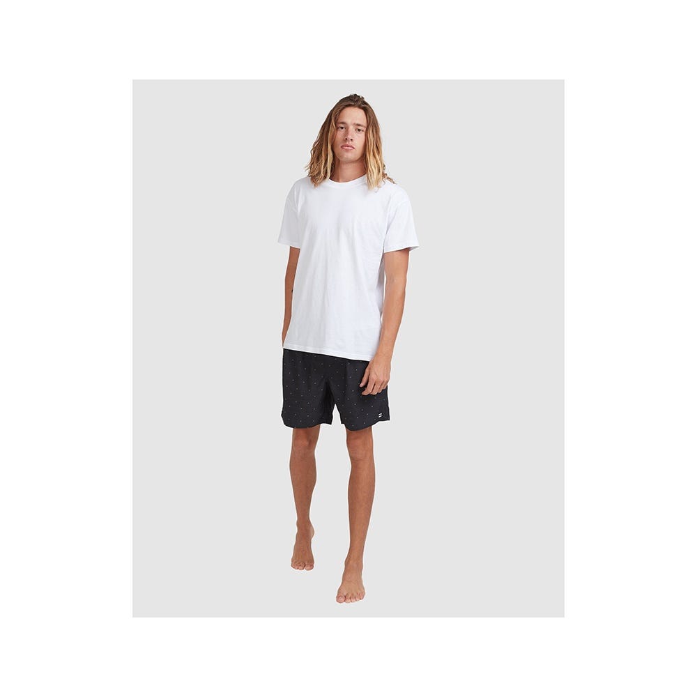 Mens All Day Mini Mark Layback Boardshorts 16"