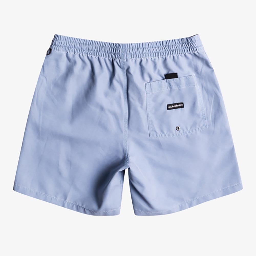 Mens Surfwash 17" Swim Shorts