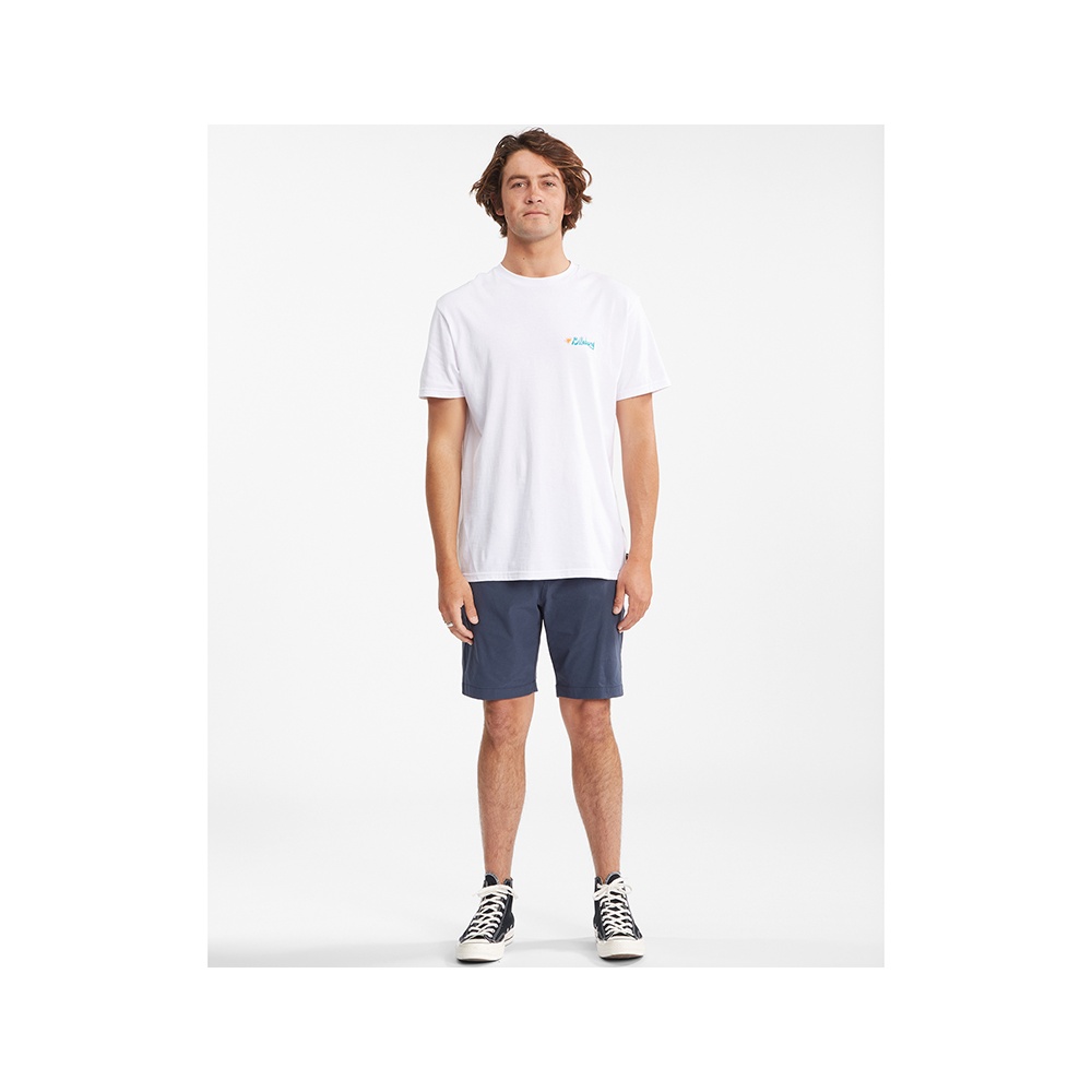 Mens A/Div Surftrek Heather Shorts