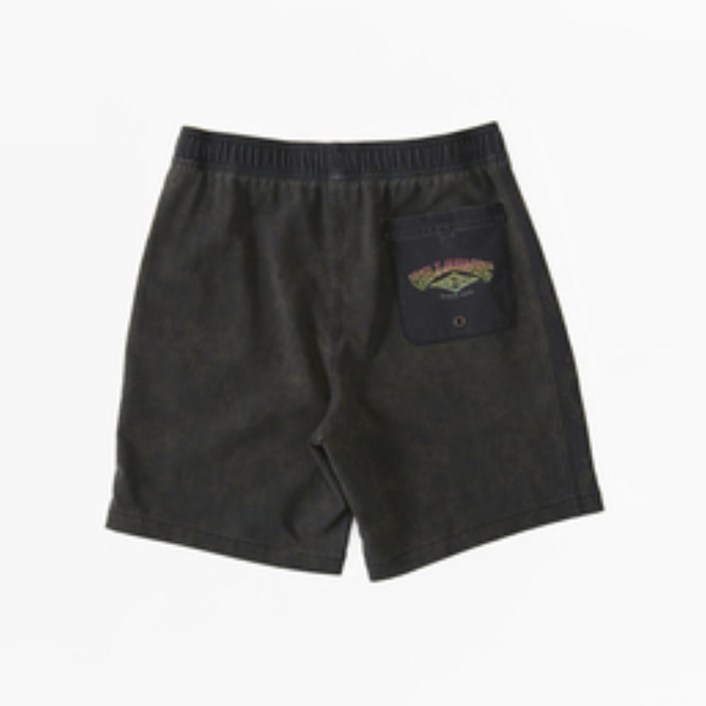 Boy's Riot Layback Boardshorts