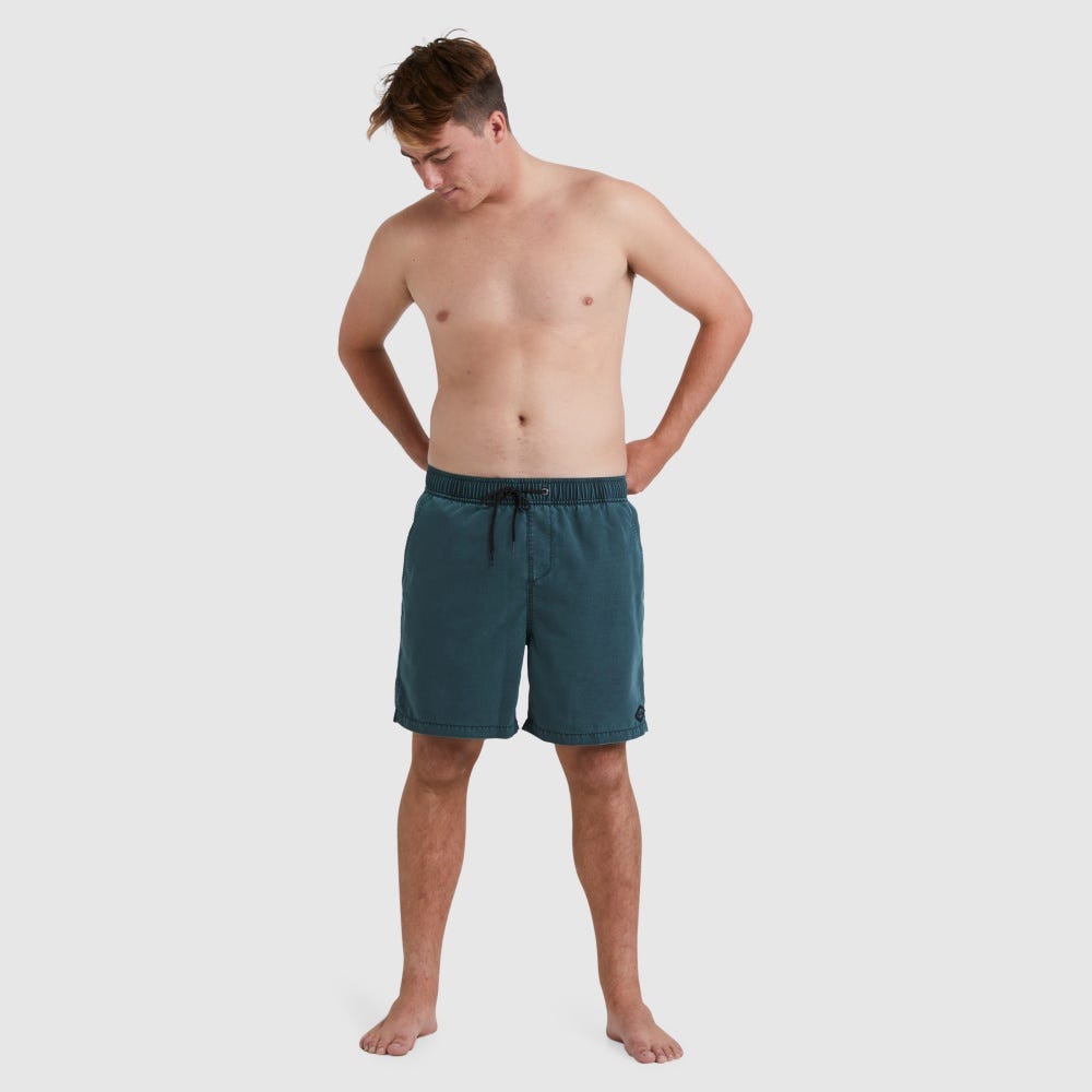 All Day Overdye Layback Boardshorts - Men