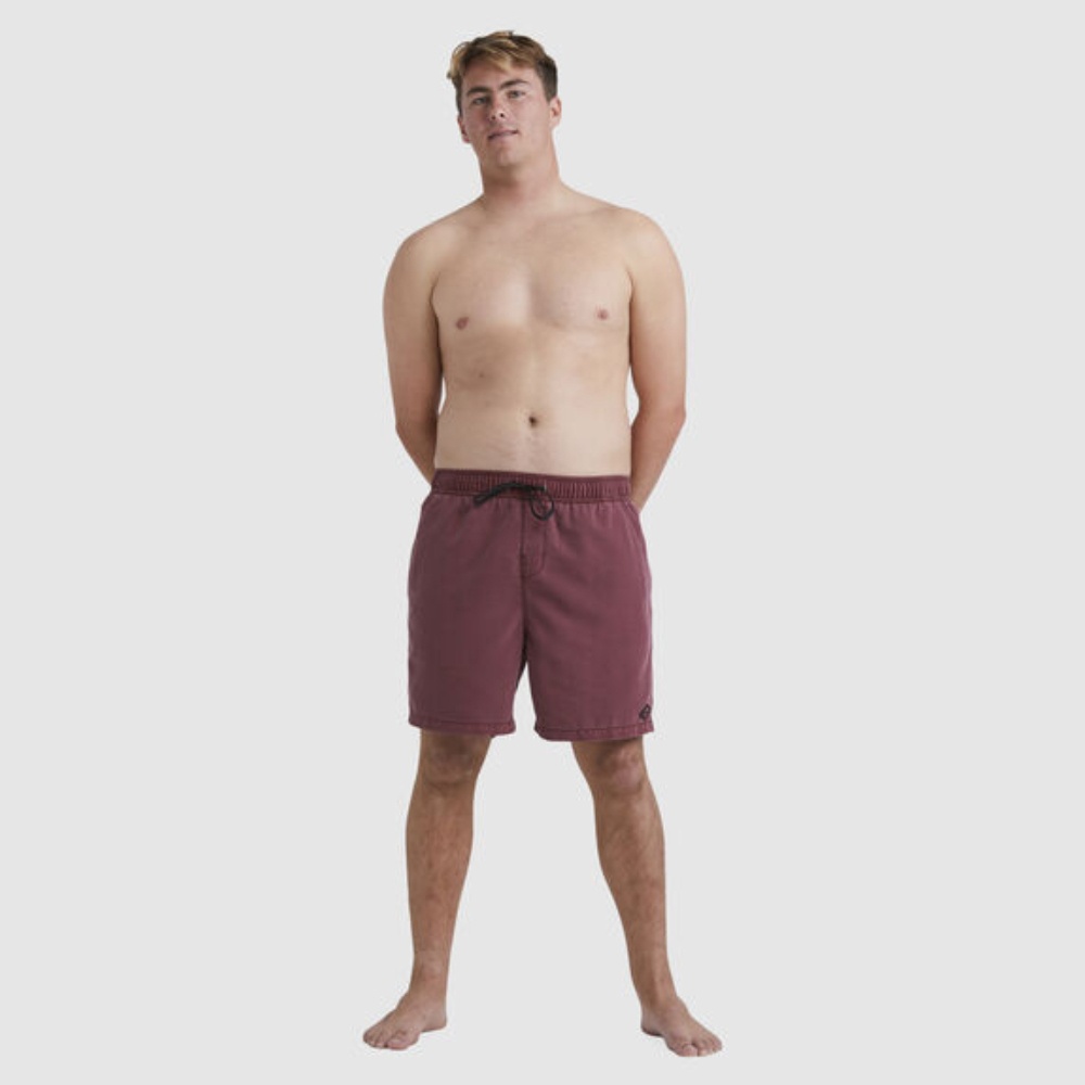 All Day Overdye Layback Boardshorts - Men