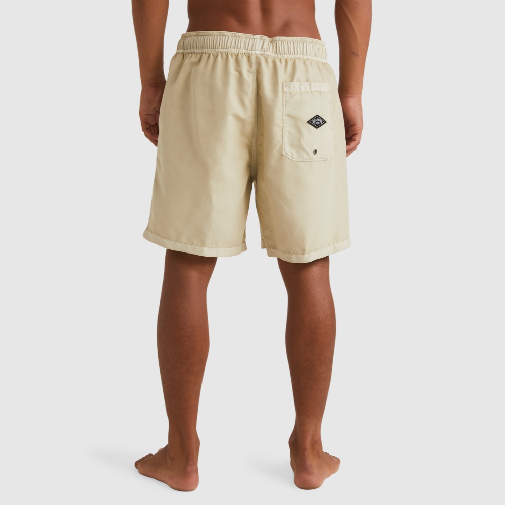 All Day Overdye Layback Boardshorts - Men