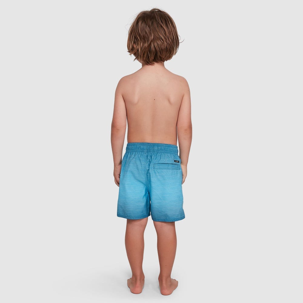 Boys 0-7 Sergio Layback Boardshorts 13"