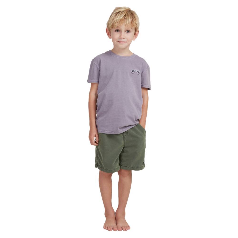 Boys s 0-7 All Day Overdye Layback Boardshorts 13" In Pine