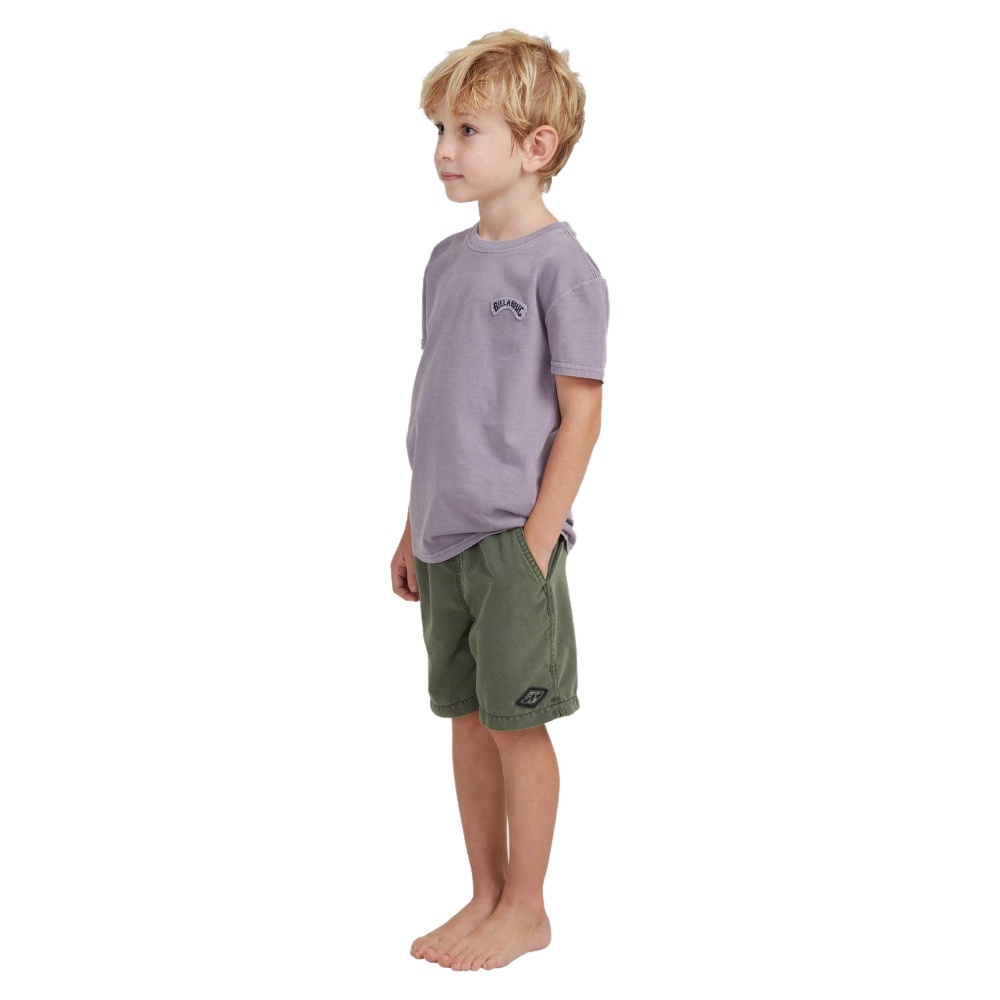 Boys s 0-7 All Day Overdye Layback Boardshorts 13" In Pine