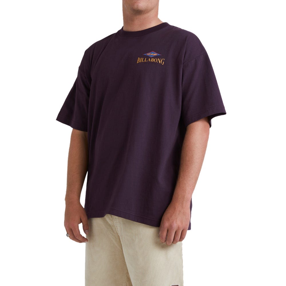 Mens Didge T-Shirt In Fig