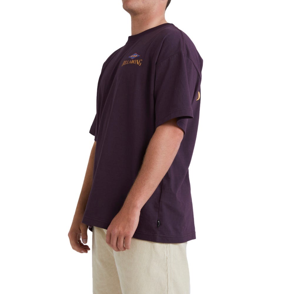 Mens Didge T-Shirt In Fig
