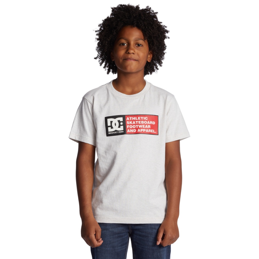 Boys DC Density Zone Tee In Snow Heather/Racing Red