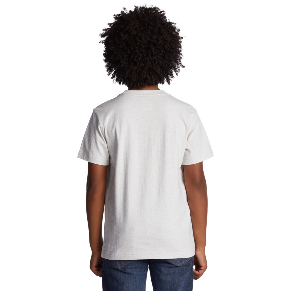 Boys DC Density Zone Tee In Snow Heather/Racing Red