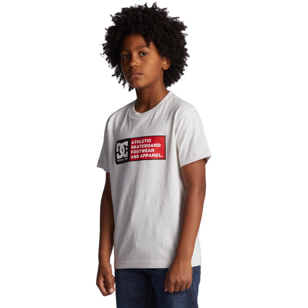 Boys DC Density Zone Tee In Snow Heather/Racing Red