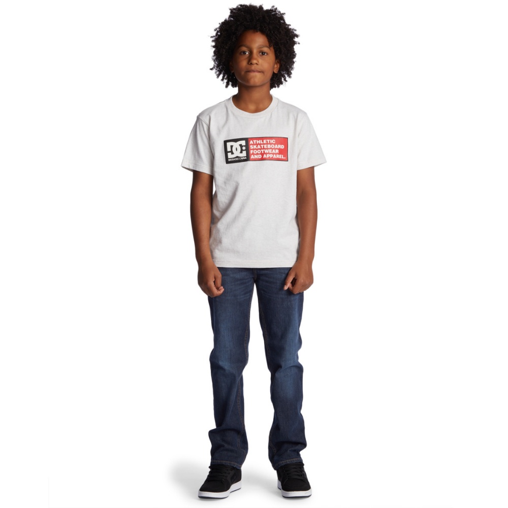 Boys DC Density Zone Tee In Snow Heather/Racing Red