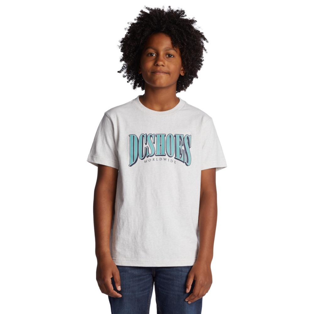 Boys Tall Stack T-Shirt In Snow Heather