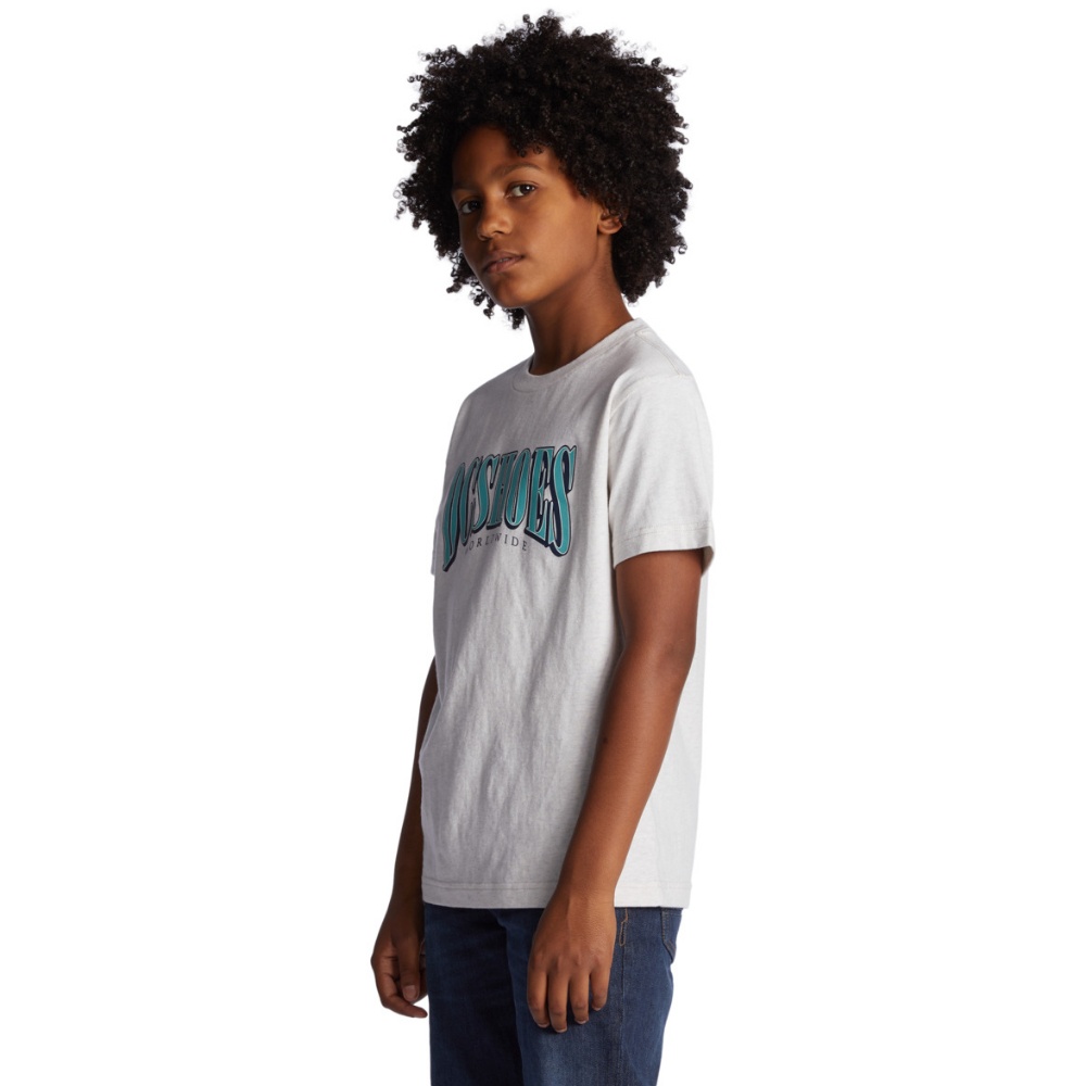 Boys Tall Stack T-Shirt In Snow Heather