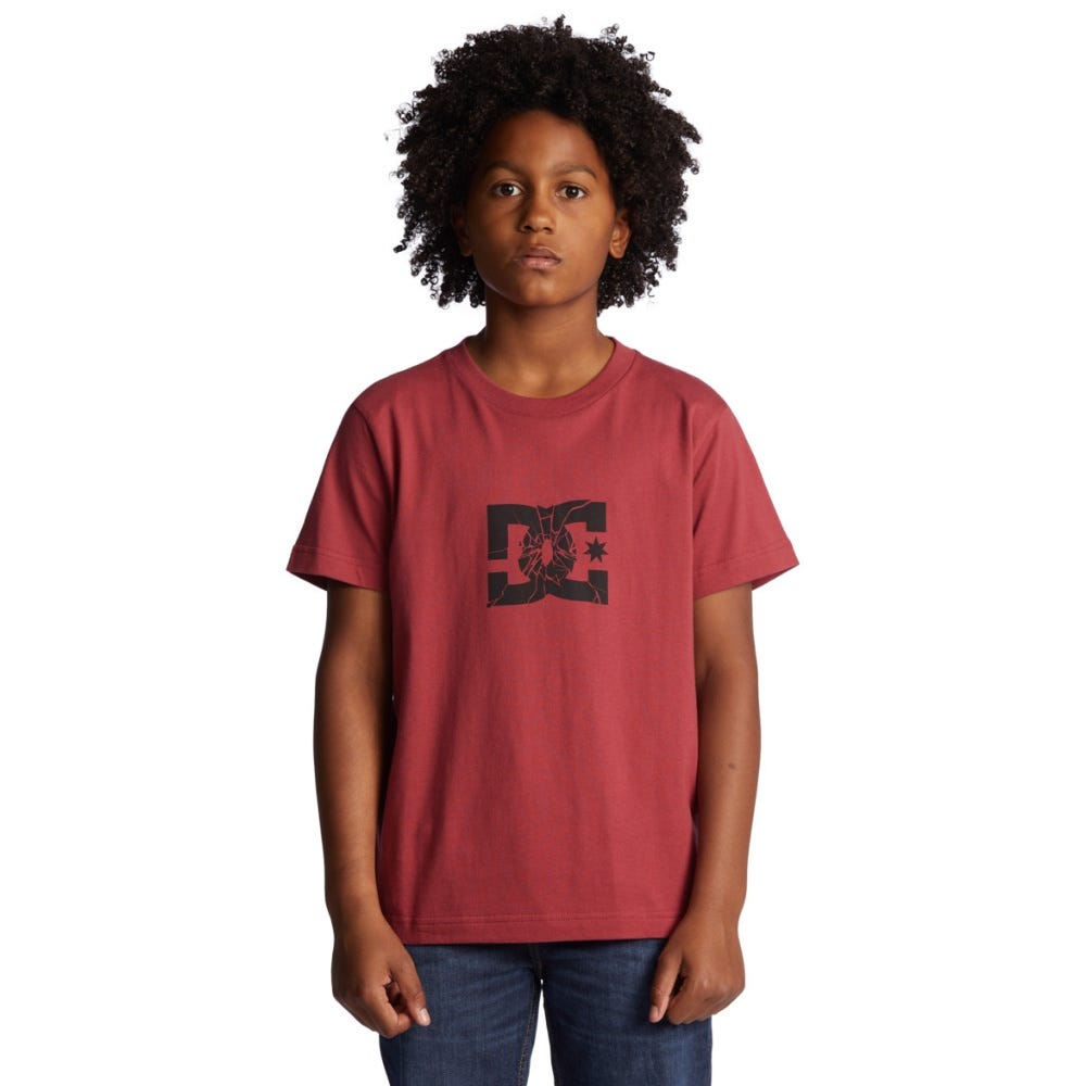 Boys Shatter T-Shirt In Red Earth