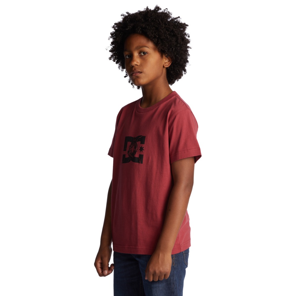 Boys Shatter T-Shirt In Red Earth