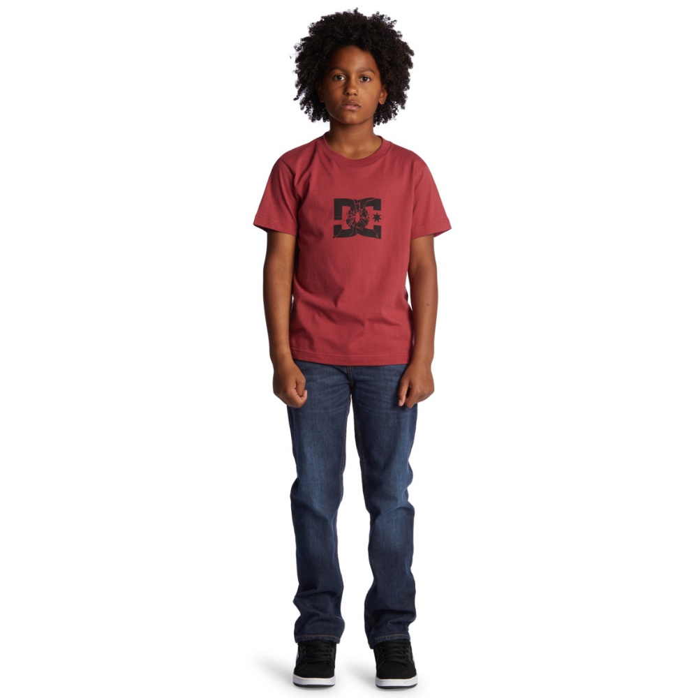 Boys Shatter T-Shirt In Red Earth