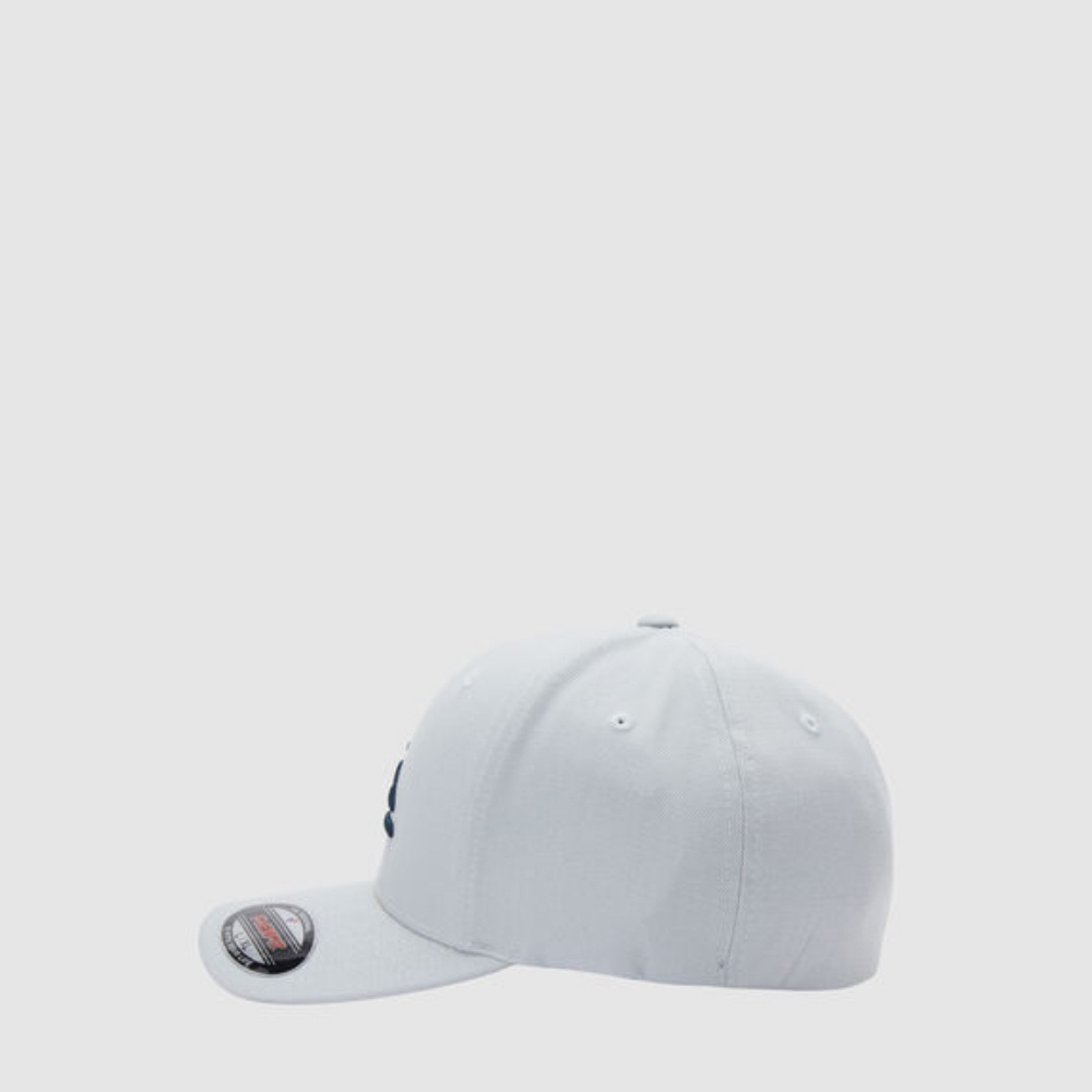 Mens Mountain And Wave Flexfit Cap