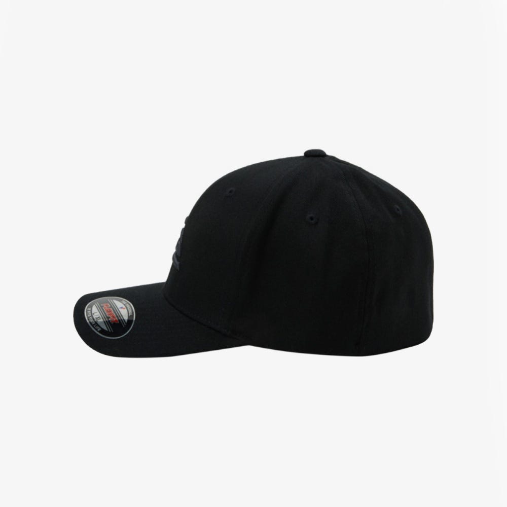 Mens Mountain And Wave Flexfit Cap