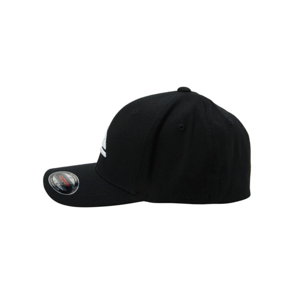 Mens Mountain And Wave Flexfit Cap