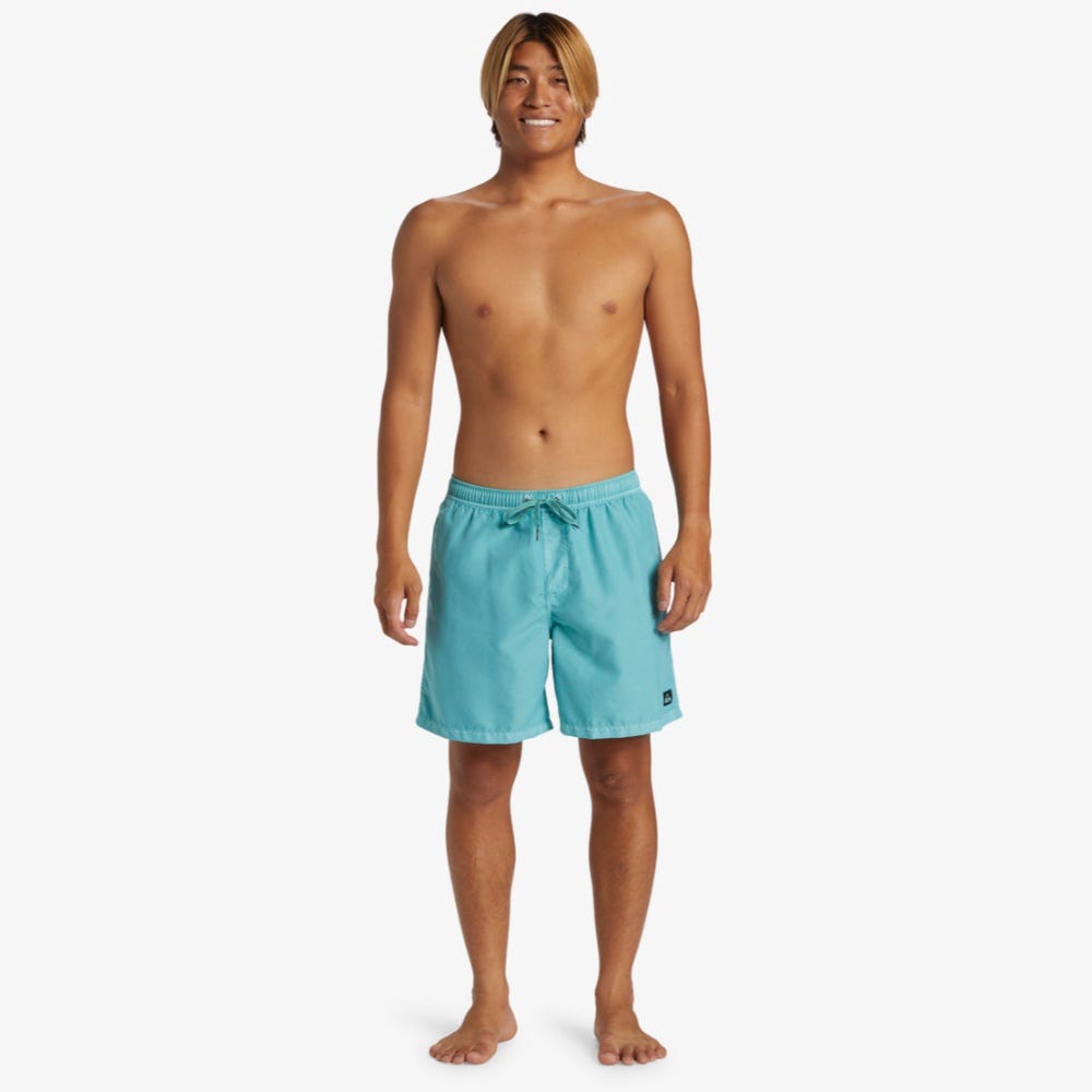 Everyday Surfwash Volley 17" Elastic Waist Shorts -Men