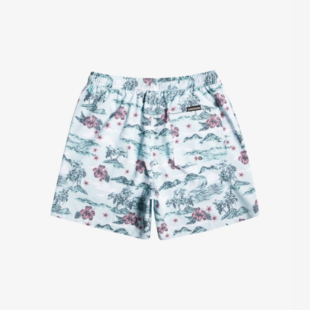 Mens Mix 17" Swim Shorts