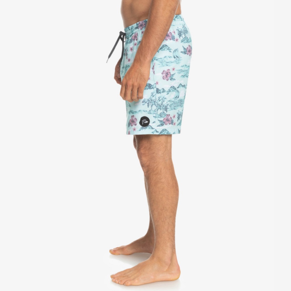 Mens Mix 17" Swim Shorts