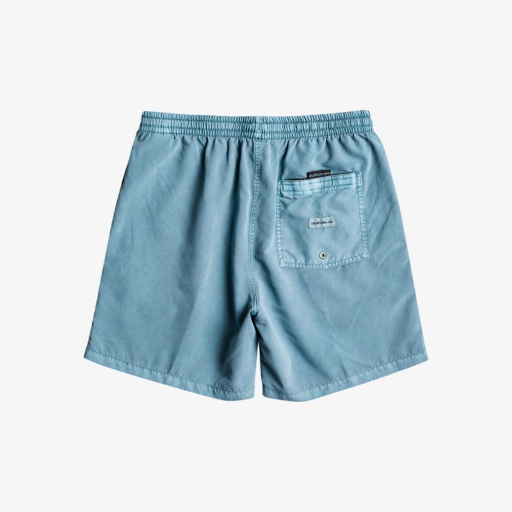 Mens Everyday Surfwash 17" Swim Shorts