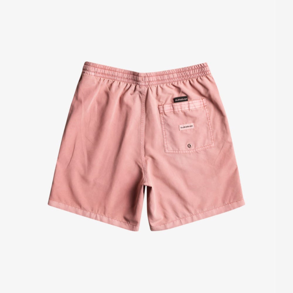 Mens Everyday Surfwash 17" Swim Shorts