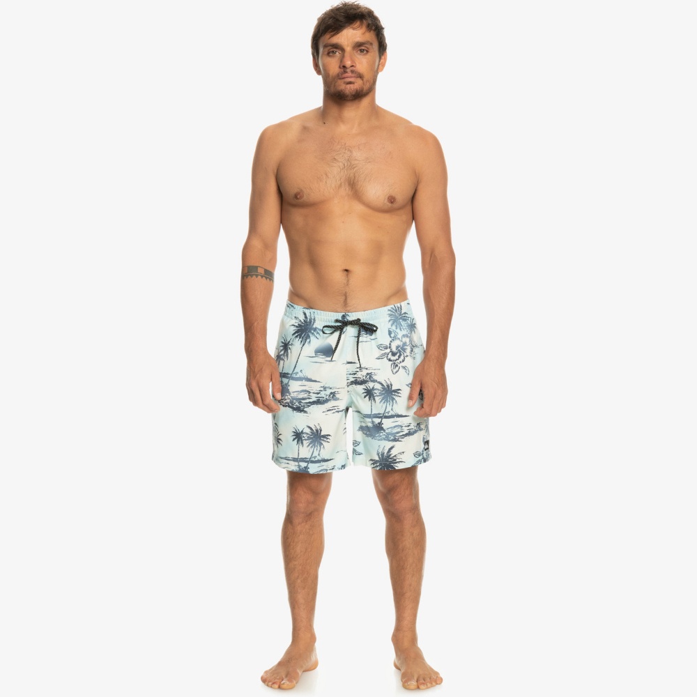 Mens Everyday Mix 17" Swim Shorts