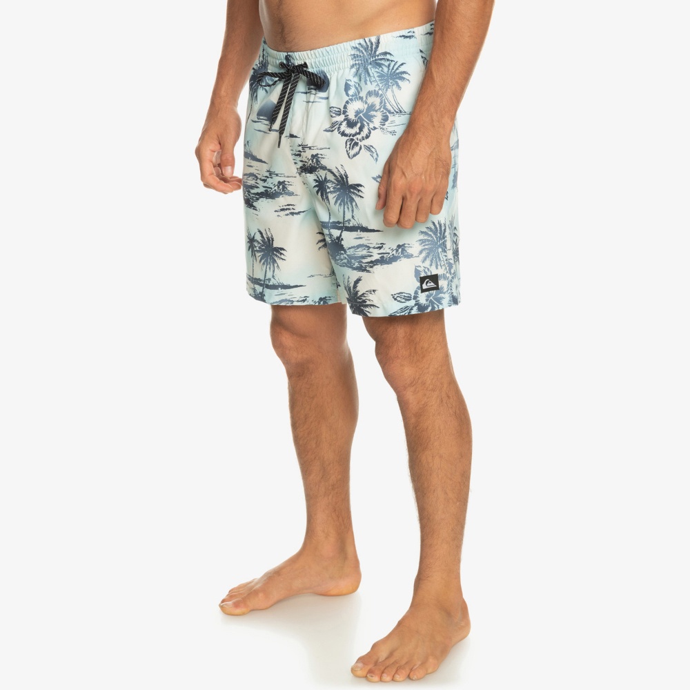 Mens Everyday Mix 17" Swim Shorts