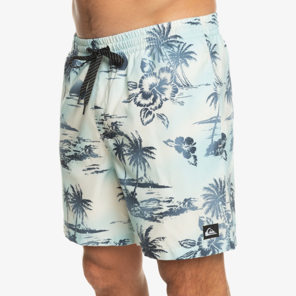 Mens Everyday Mix 17" Swim Shorts