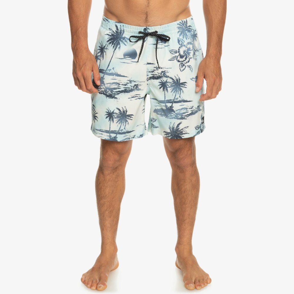 Mens Everyday Mix 17" Swim Shorts