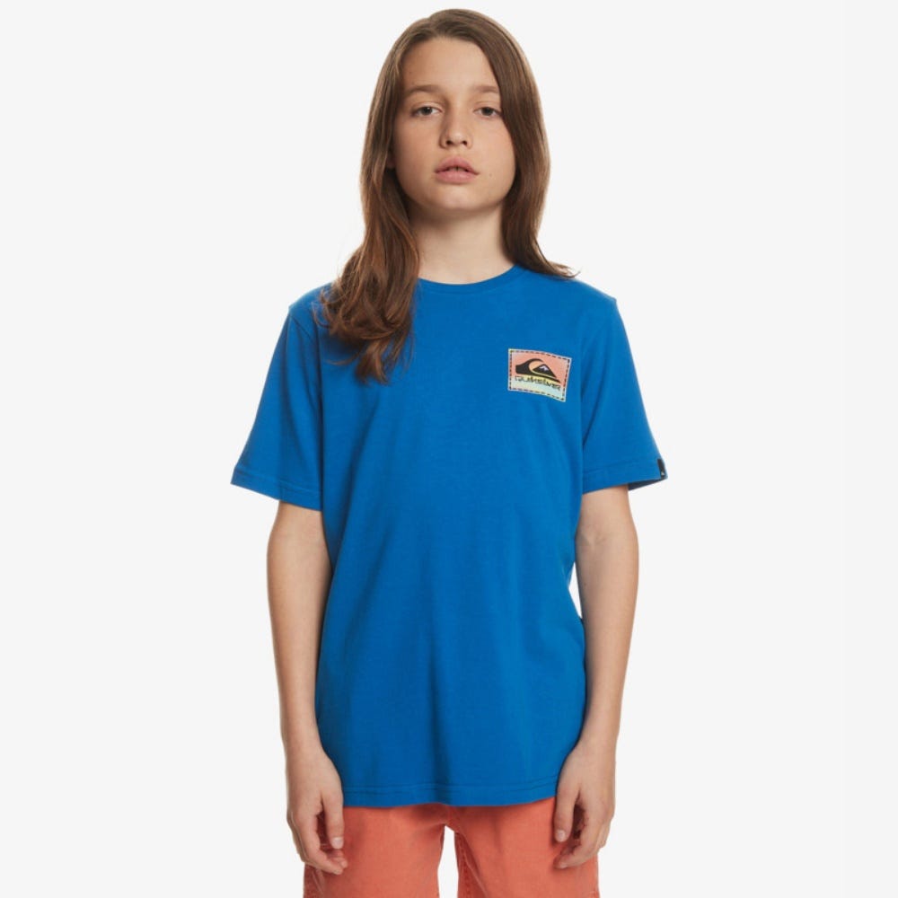 Boys 8-16 Colour Flow T-Shirt